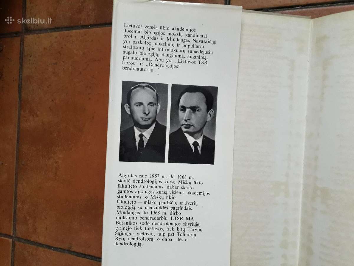 A. Nasvytaitis M. Nasvytaitis "Lietuvos medžiai" - nuotraukos Nr. 3