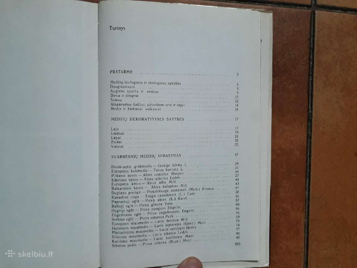 A. Nasvytaitis M. Nasvytaitis "Lietuvos medžiai" - nuotraukos Nr. 13
