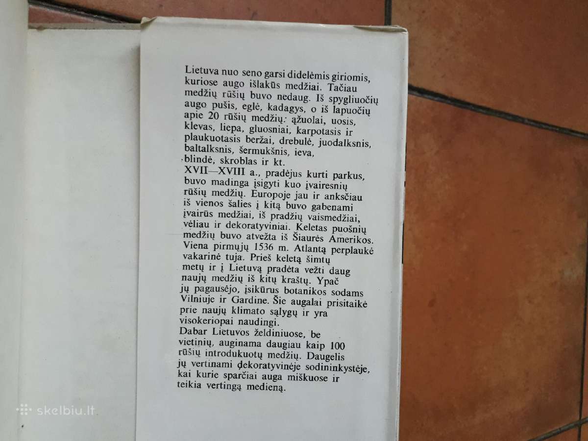 A. Nasvytaitis M. Nasvytaitis "Lietuvos medžiai" - nuotraukos Nr. 16