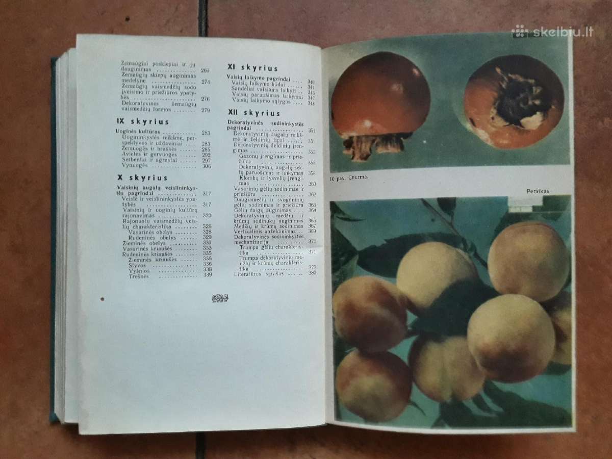 V. Venskutonis "Sodininkystė" 1966 metai - nuotraukos Nr. 10