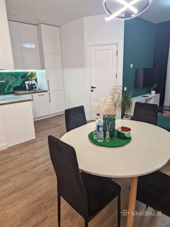 Apartamentai Ragaines self chec-in free parking. K - nuotraukos Nr. 10