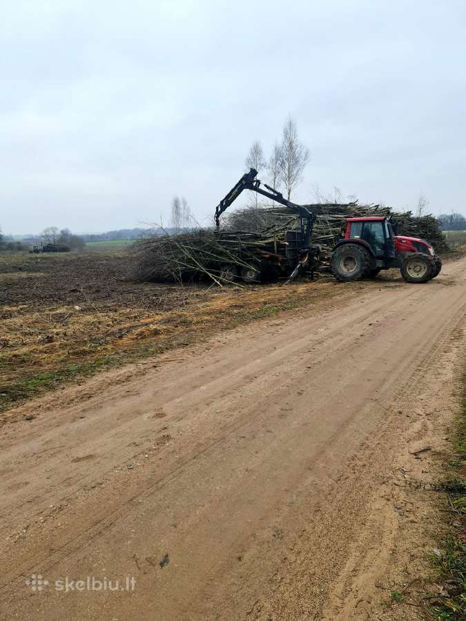Apleistų sklypų tvarkymas ir kelmų frezavimas - nuotraukos Nr. 2