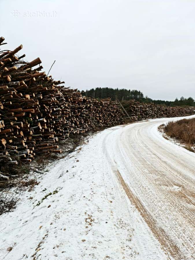 Apleistų sklypų tvarkymas ir kelmų frezavimas - nuotraukos Nr. 3