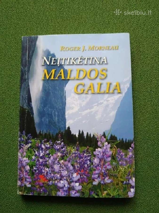 Daug įvairių įdomių knygu - nuotraukos Nr. 10