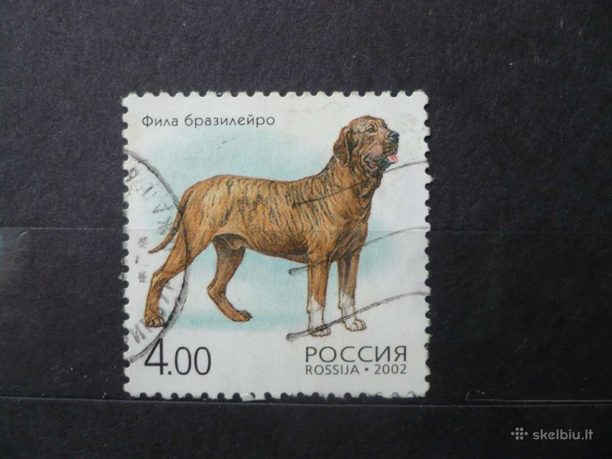 2002 Fauna. Šunys. Brazilijos mastifas