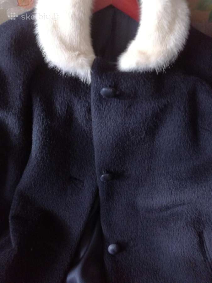 Paltas moherinis