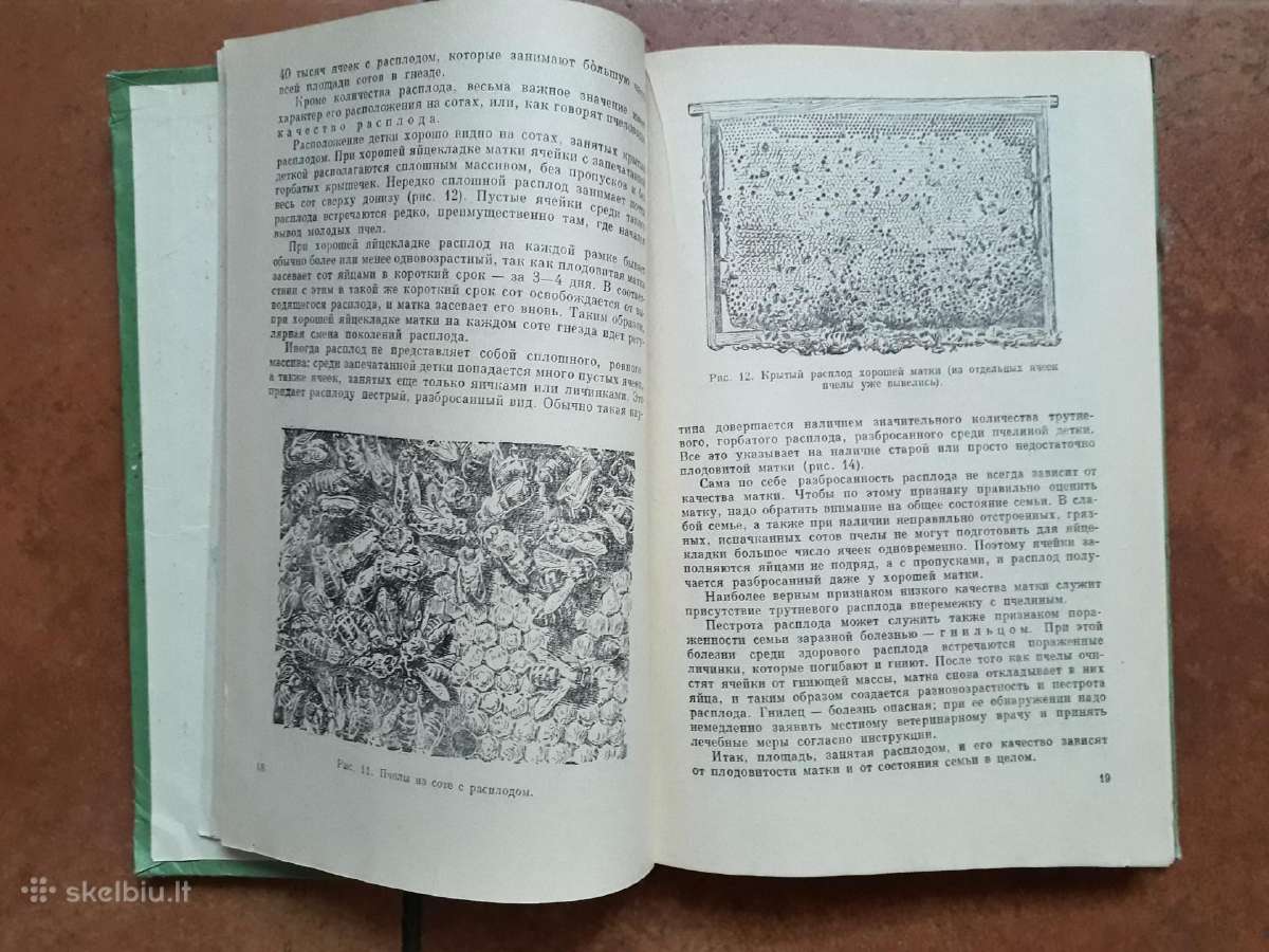 A. M. Kovaliov "Uchod za pčiolami" 1959 metai - nuotraukos Nr. 4