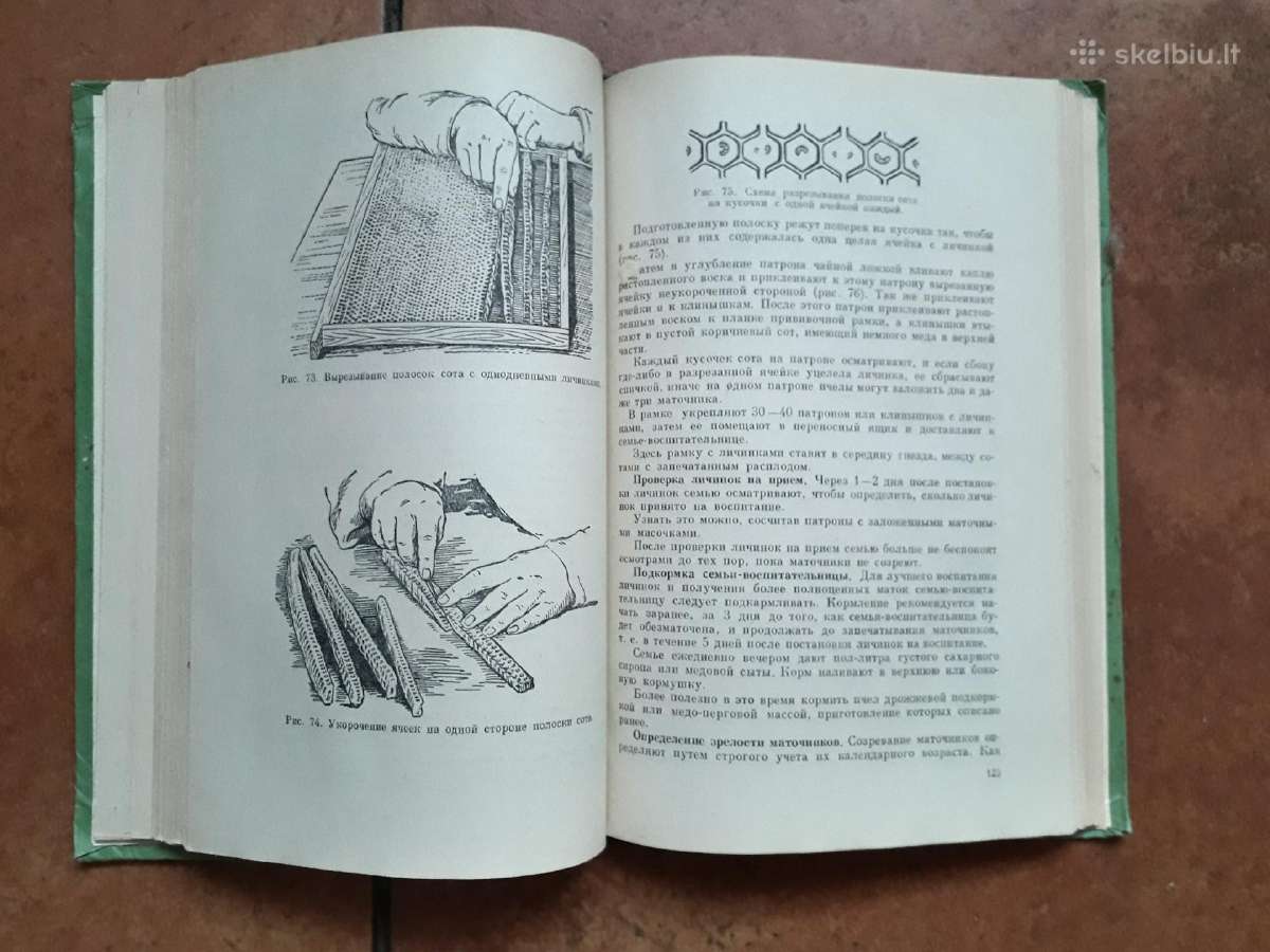 A. M. Kovaliov "Uchod za pčiolami" 1959 metai - nuotraukos Nr. 6