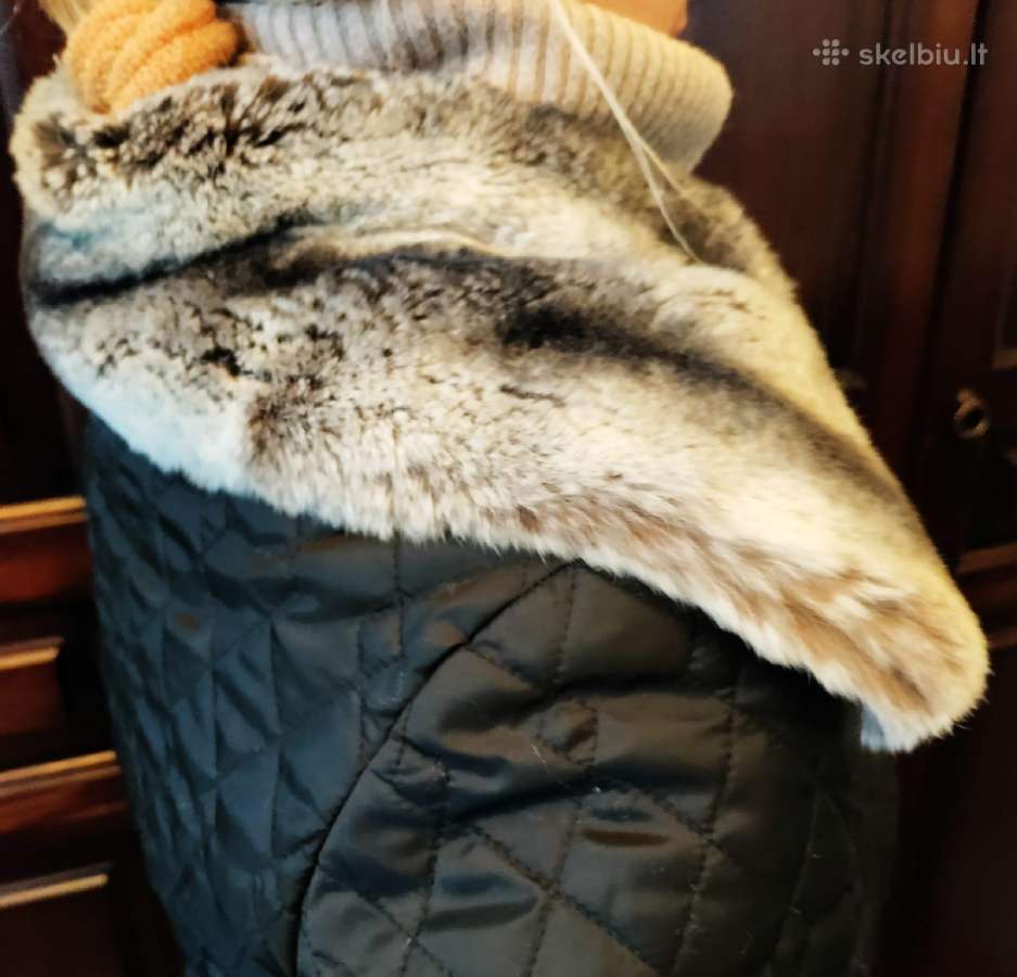 Natūralių kailiu apykakle -"šinšilos".