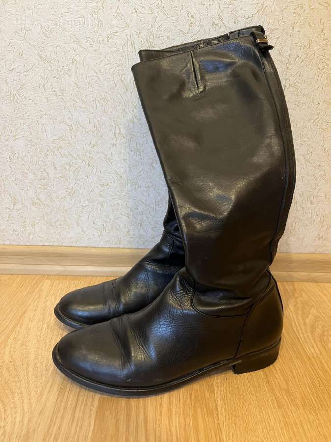 Billi bi ilgaauliai