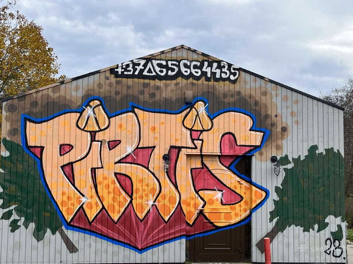 Pirties nuoma, banketinė salė Radailiuose - nuotraukos Nr. 12