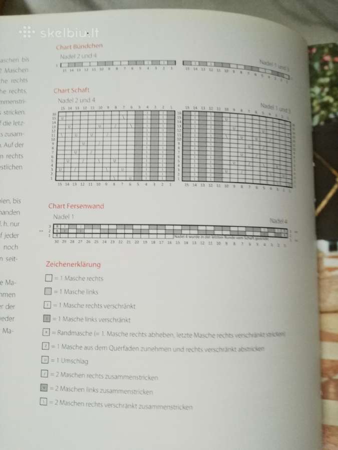 S.brant Mezgimo biblija 2011 m. - nuotraukos Nr. 2