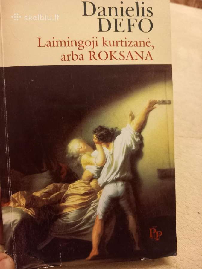 Puikus romanas