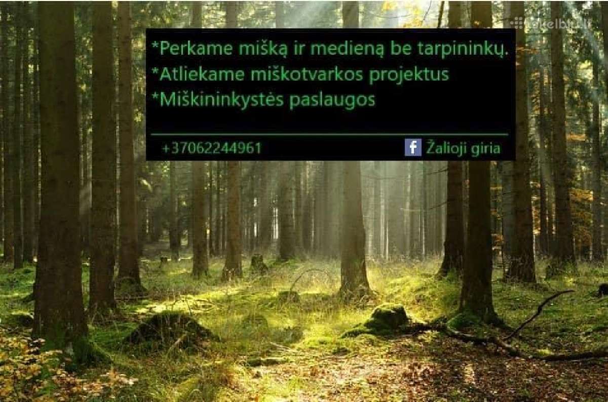Miškotvarkos projektai - Mišku supirkimas - nuotraukos Nr. 2