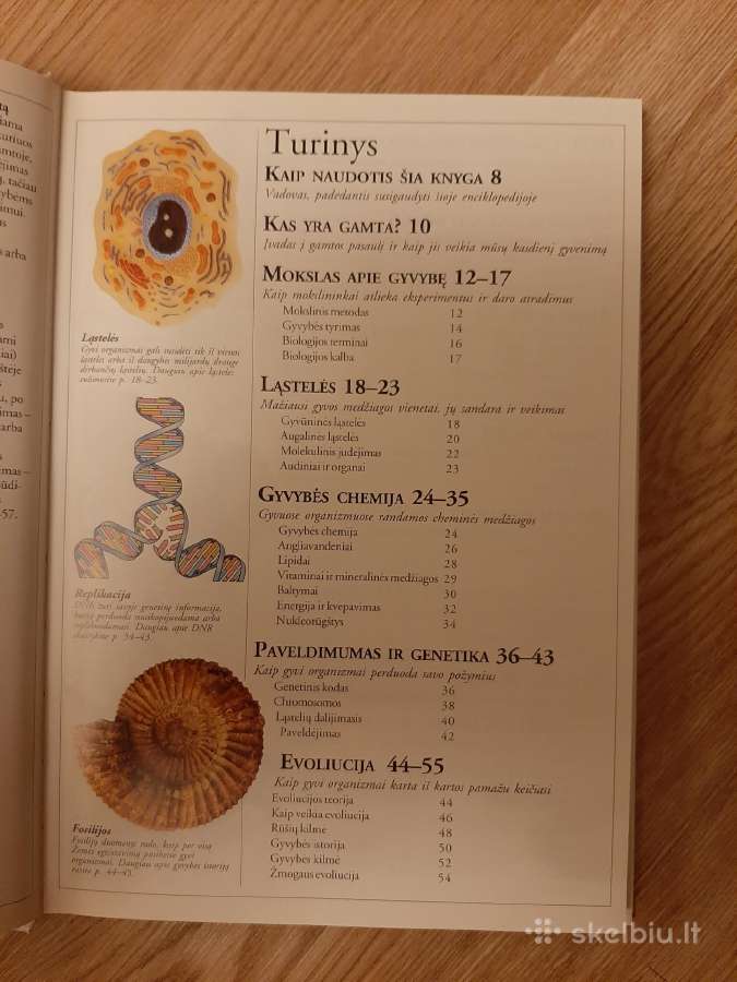 Gamta. Mokyklinė enciklopedija. Dk - nuotraukos Nr. 2