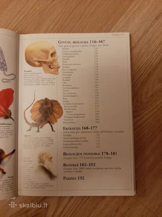 Gamta. Mokyklinė enciklopedija. Dk - nuotraukos Nr. 4