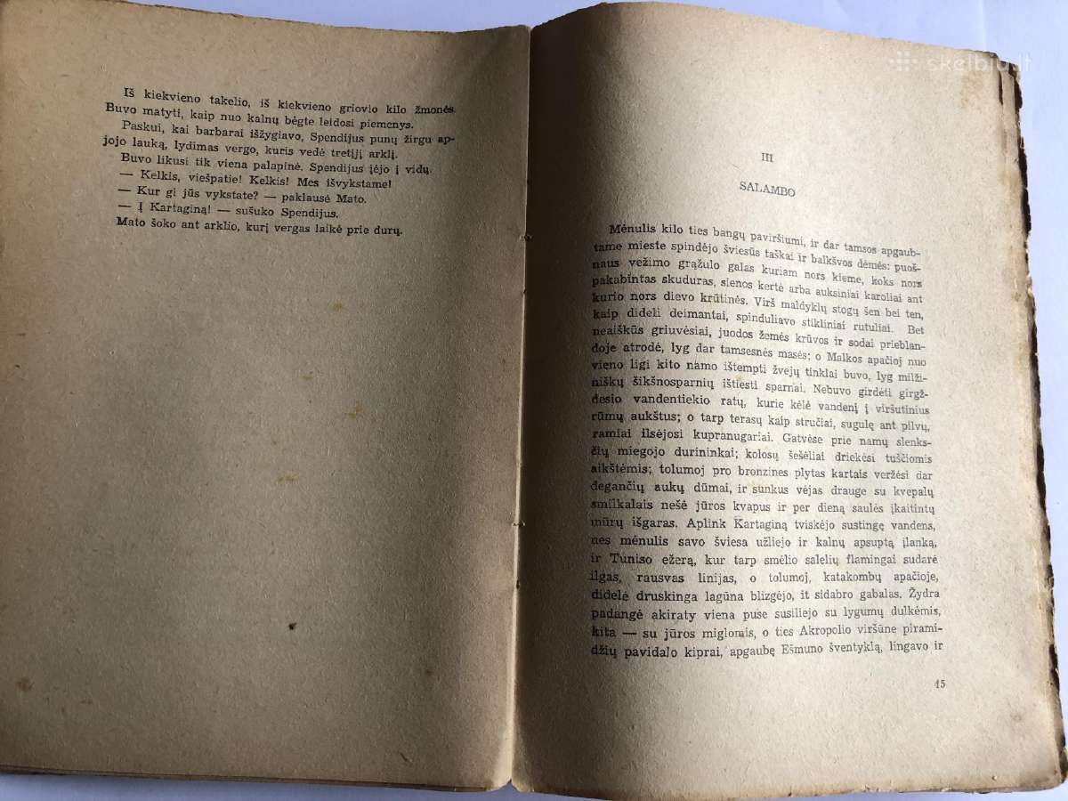 Retro knyga (antikvaras) Salambo 1948m - nuotraukos Nr. 3