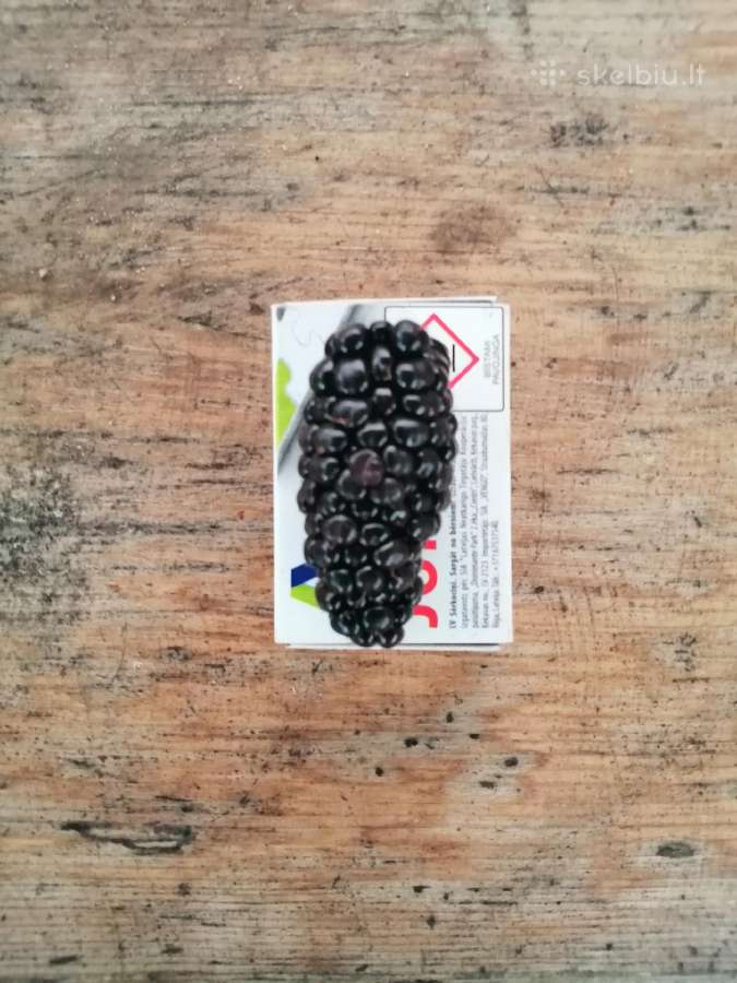 Figmedžių, gervuogių, vynuogių, bruknių sodinukai. - nuotraukos Nr. 10