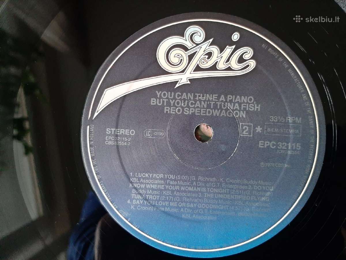 Reo Speedwagon1978 "You Can Tune A Piano, But You" - nuotraukos Nr. 3