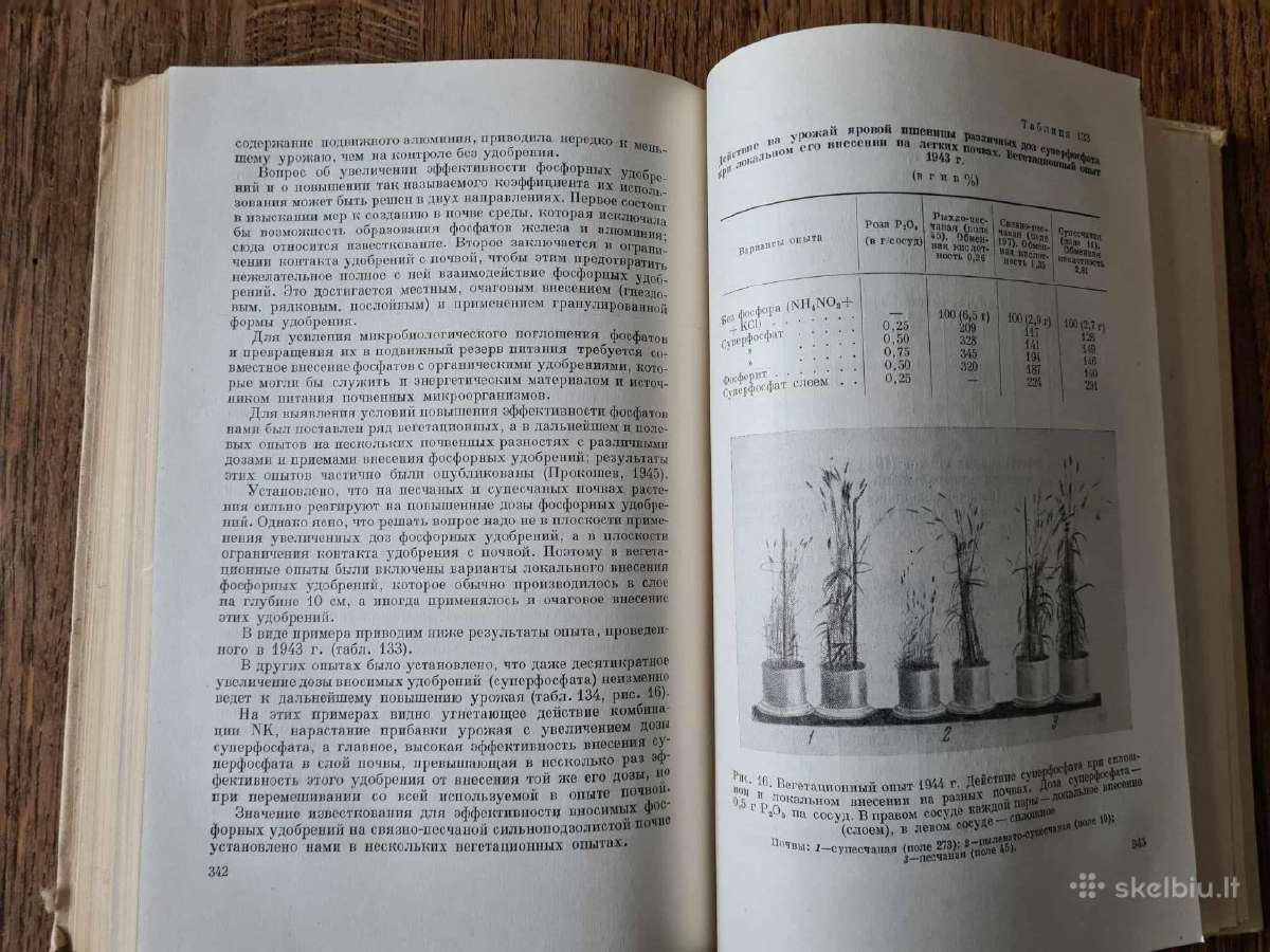 Priesmėlio dirvožemių derlingumo didinimas(rusų k) - nuotraukos Nr. 8