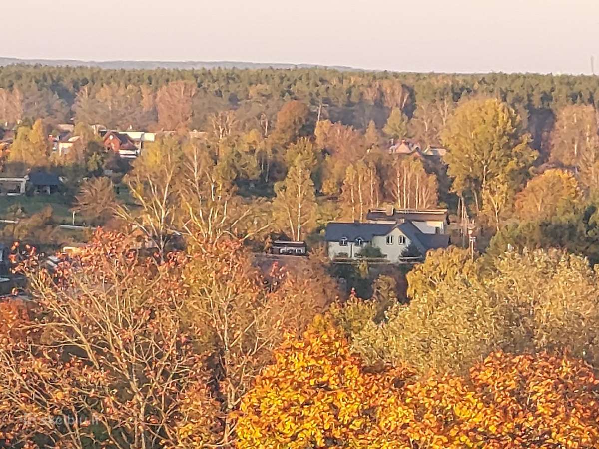 Poilsis Druskininkuose, 2 kamb. apartamento nuoma - nuotraukos Nr. 10