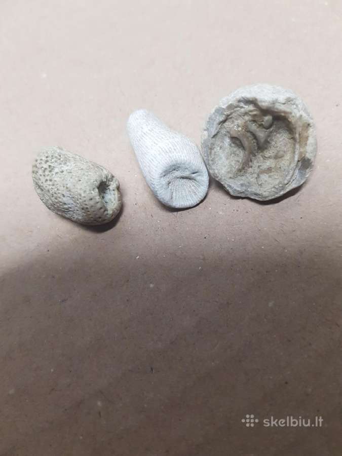 Fosilijos