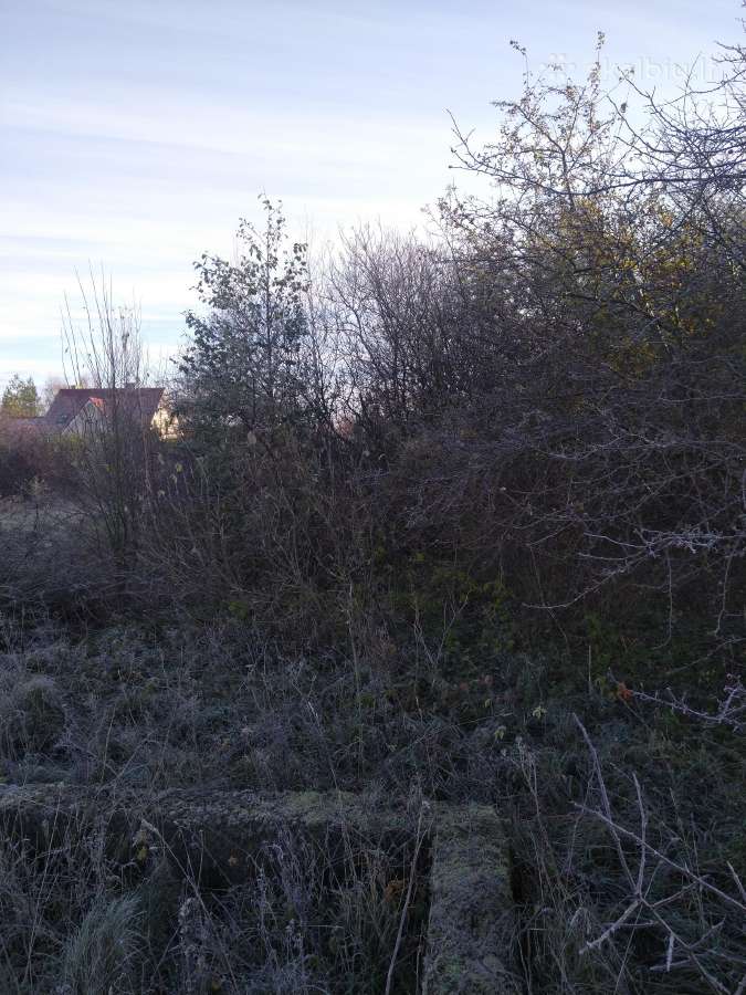 Žolės pjovimas,kelmų frezavimas,sklypų tvarkymas. - nuotraukos Nr. 5