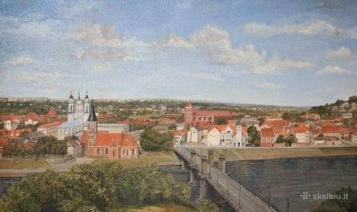 Paveikslas Gėlės Bijūnai - nuotraukos Nr. 10