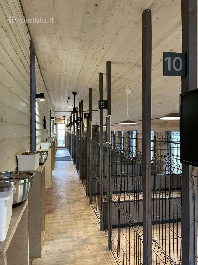 Šunų viešbutis tarp Vilniaus ir Kauno-elektrėnuose - nuotraukos Nr. 6