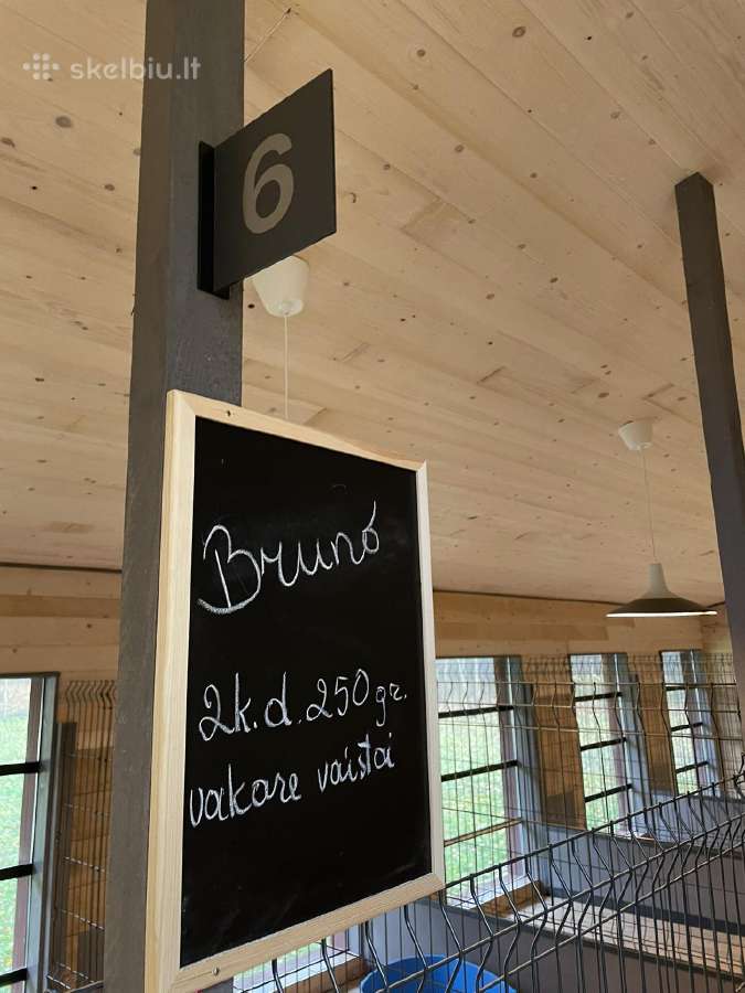 Šunų viešbutis tarp Vilniaus ir Kauno-elektrėnuose - nuotraukos Nr. 8