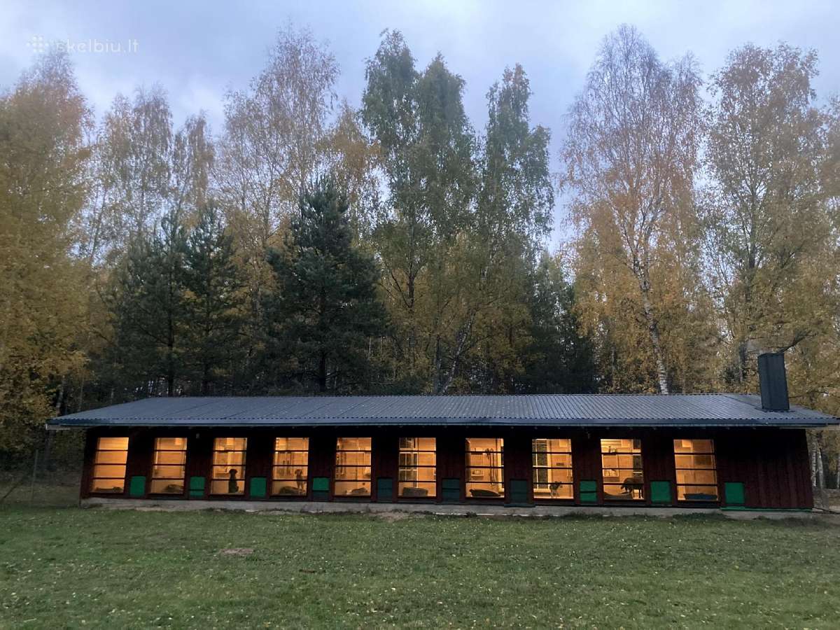 Šunų viešbutis tarp Vilniaus ir Kauno-elektrėnuose - nuotraukos Nr. 9