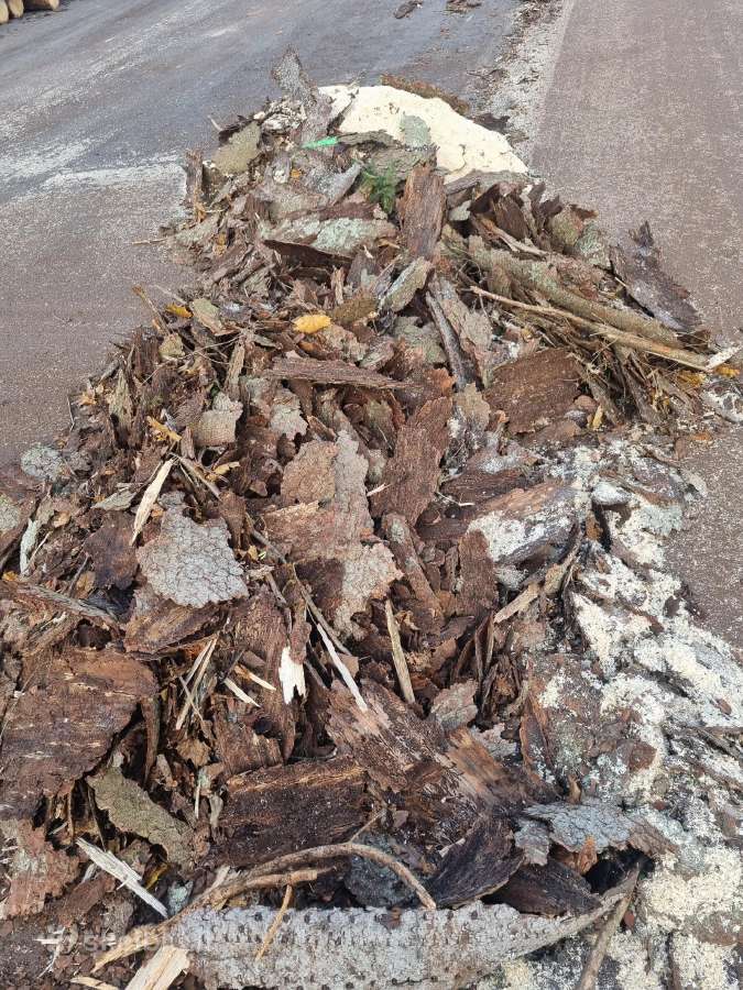 Spygliuočių mulčas, pušies mulčias, eglės mulčias - nuotraukos Nr. 7