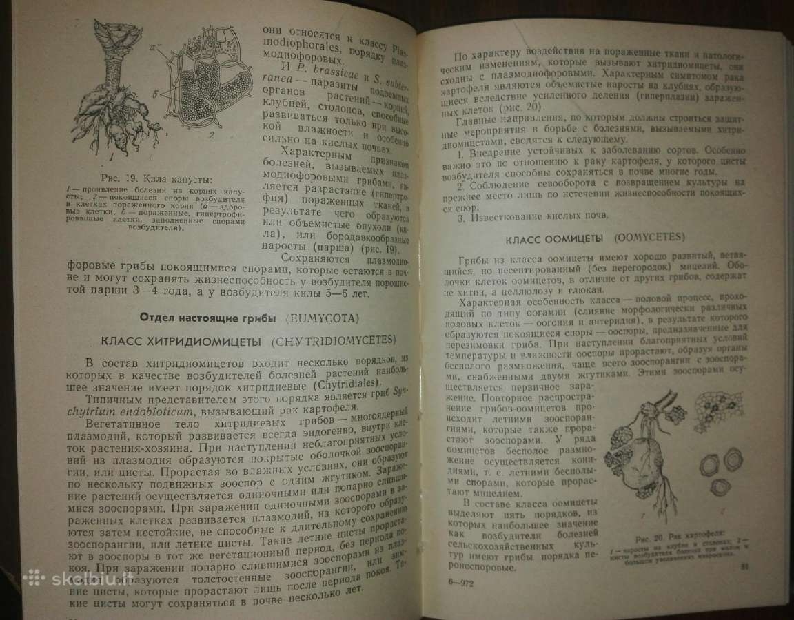 Фитопатология Дементьева М. И. - nuotraukos Nr. 4