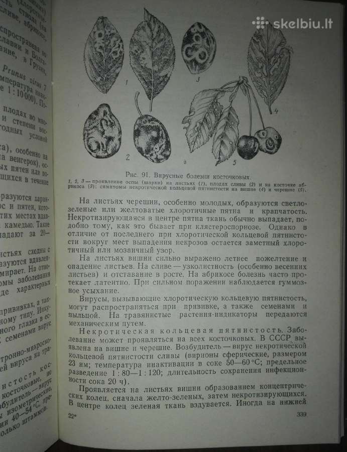 Фитопатология Дементьева М. И. - nuotraukos Nr. 5