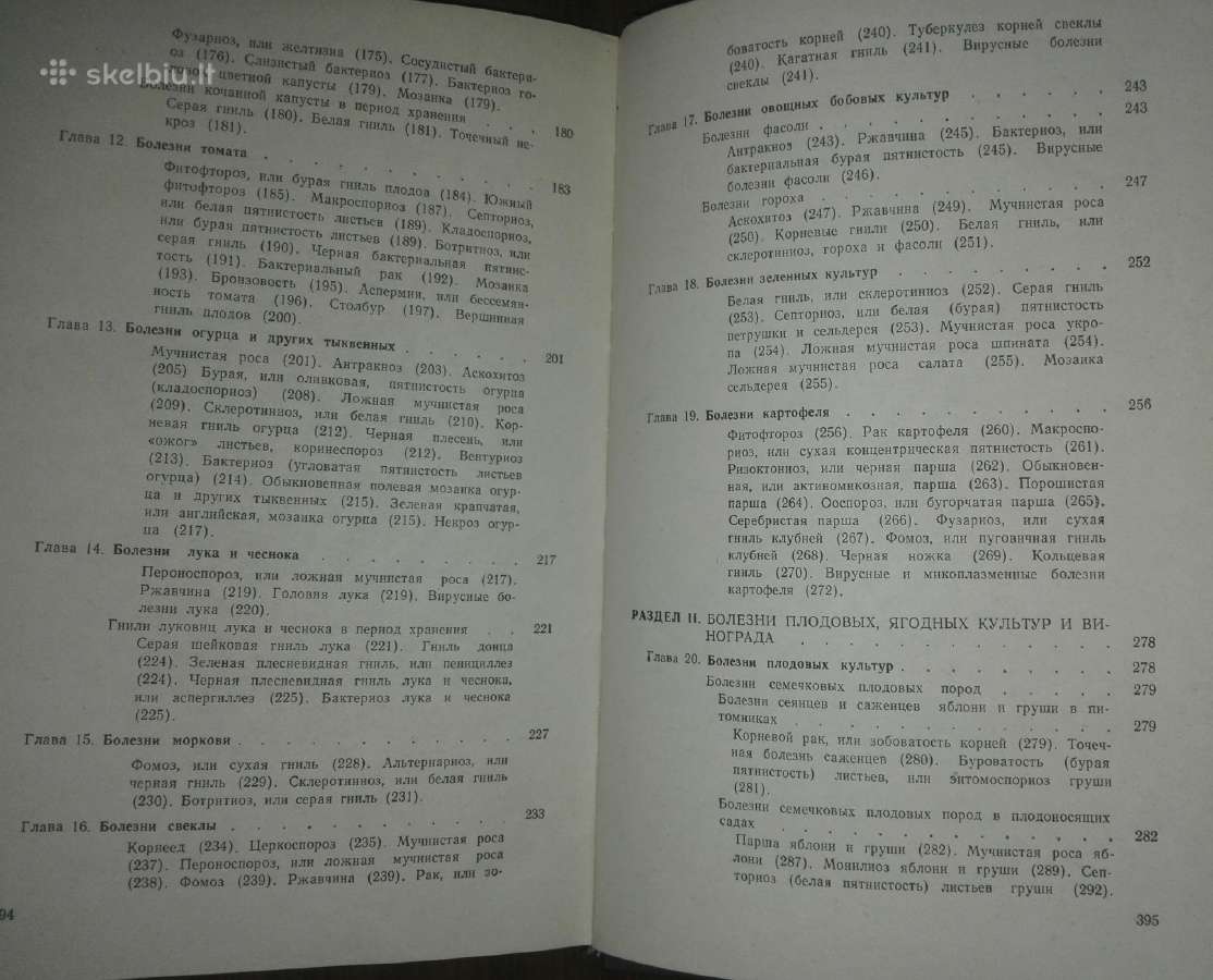 Фитопатология Дементьева М. И. - nuotraukos Nr. 8