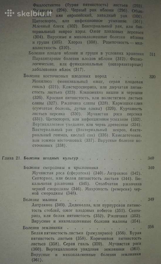 Фитопатология Дементьева М. И. - nuotraukos Nr. 9