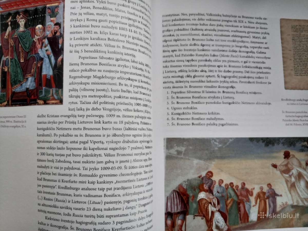 -Lietuvos šventieji globėjai 2010 m / 210 psl - nuotraukos Nr. 4