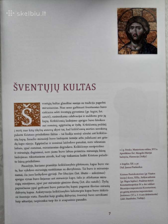 -Lietuvos šventieji globėjai 2010 m / 210 psl - nuotraukos Nr. 8