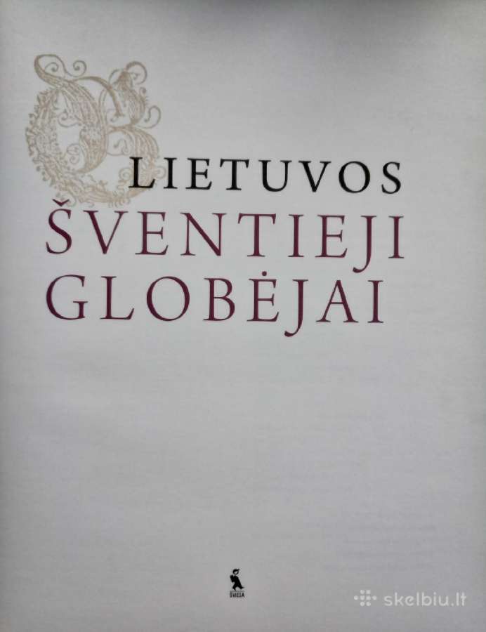 -Lietuvos šventieji globėjai 2010 m / 210 psl - nuotraukos Nr. 9