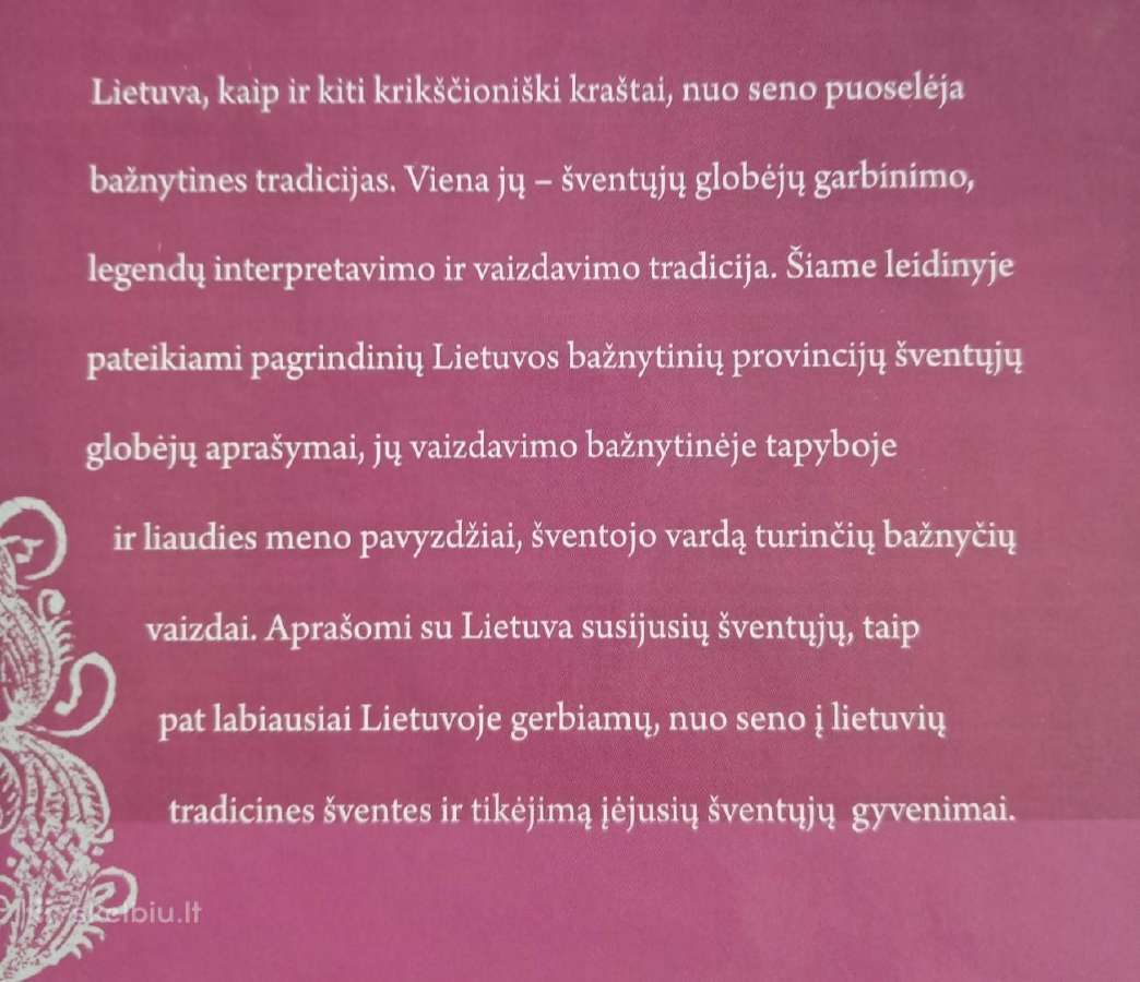 -Lietuvos šventieji globėjai 2010 m / 210 psl - nuotraukos Nr. 11