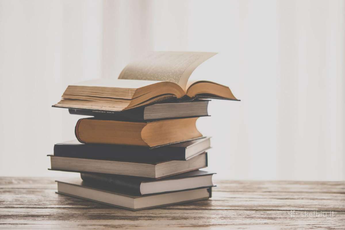 Lithuanian language courses for foreigners