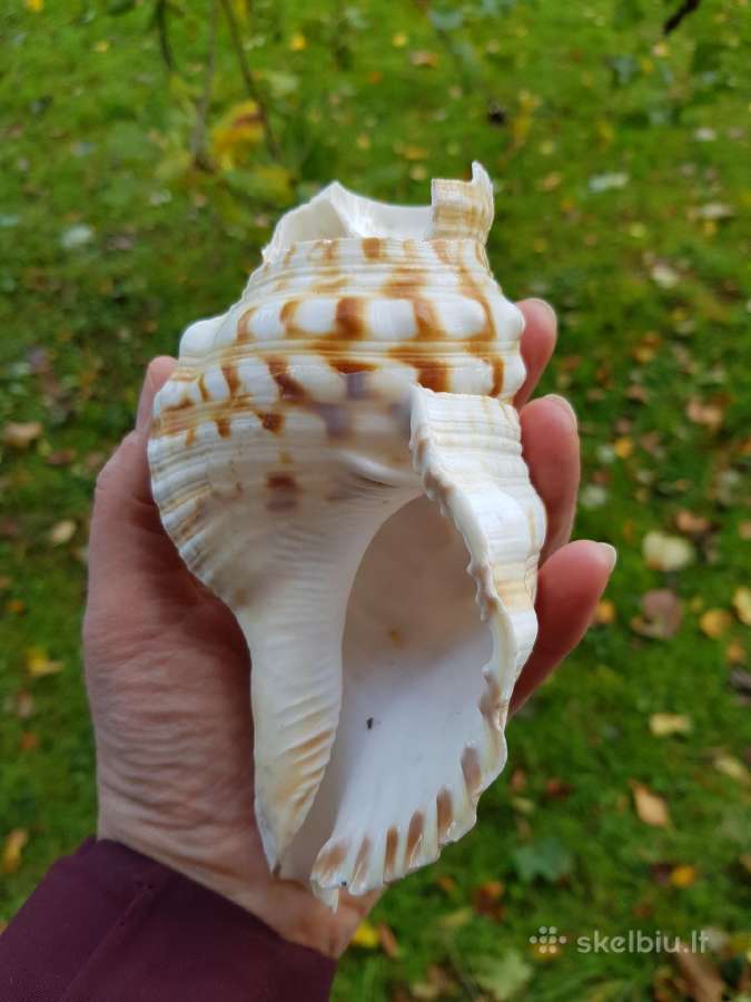 Dekoracija
