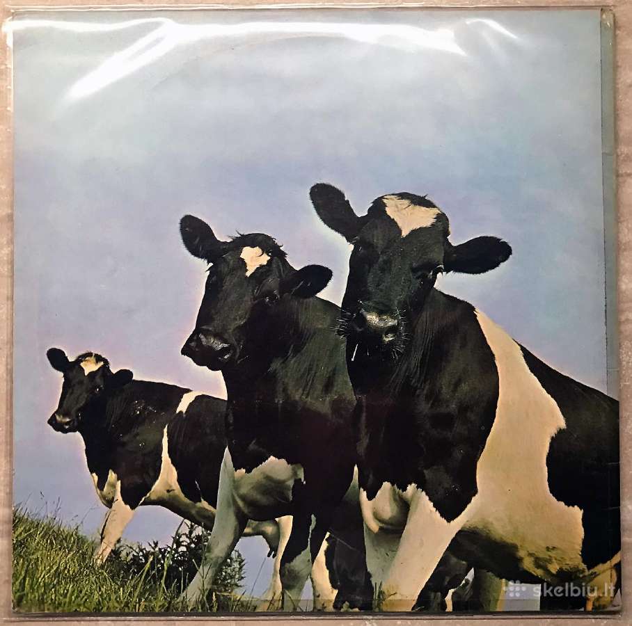 Melomanui i kolekcija 4 - nuotraukos Nr. 7