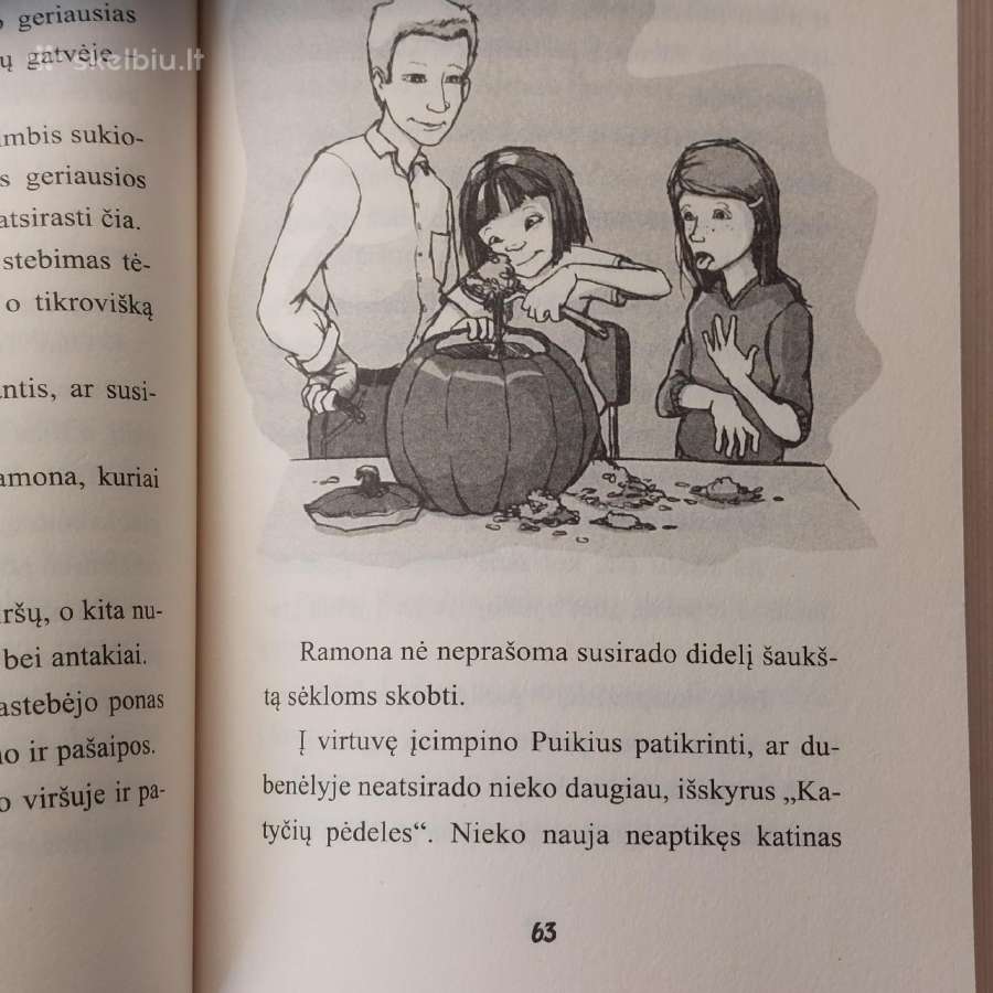 Beverly Cleary - " Ramona ir tėtis ". - nuotraukos Nr. 14