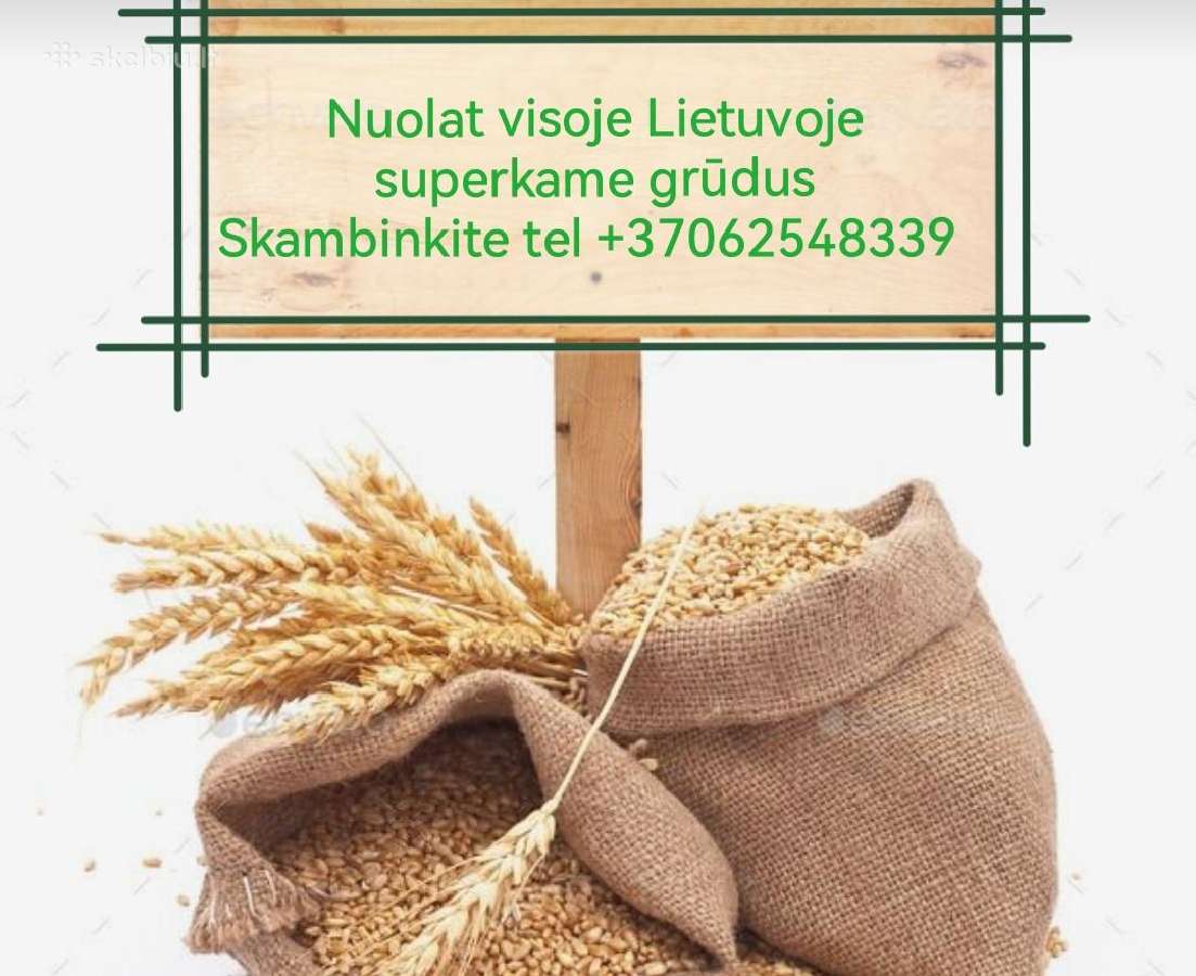 Įmonė Perka Grūdus – Vežame Savo Transportu!
