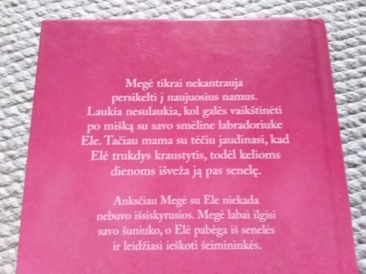 Holly Webb Elė Ilgisi Namų 2013m. - nuotraukos Nr. 3