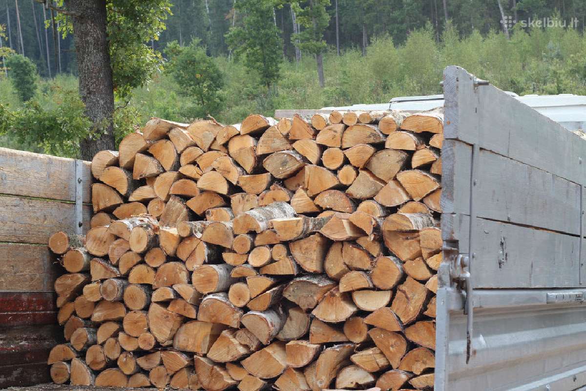 Malkos Kaune ir aplinkui - nuotraukos Nr. 12