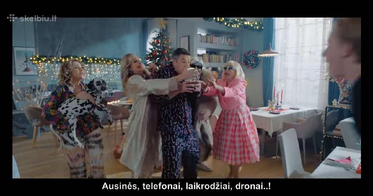 Dalmatinų veislynas Kedro Domino - vada 2027 - nuotraukos Nr. 8