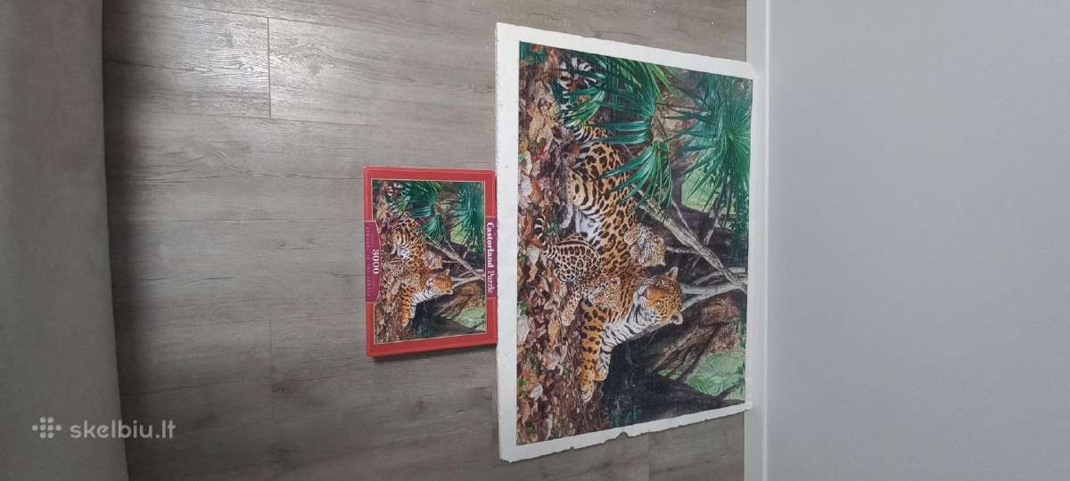 Castorland Puzzle