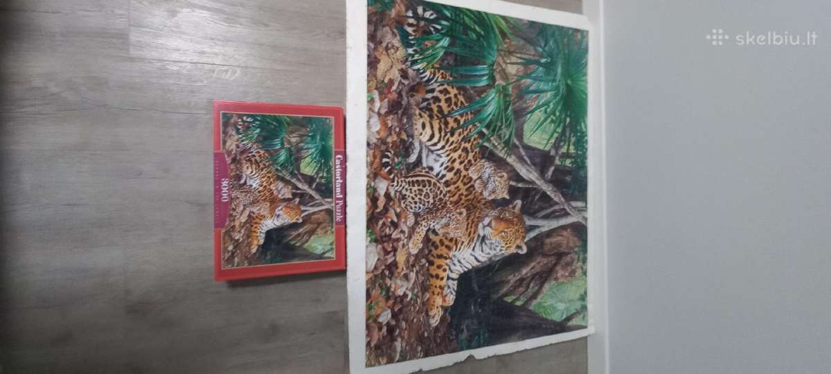 Castorland Puzzle - nuotraukos Nr. 3